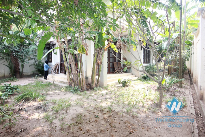 Modern house with lots of natural light for rent in Ciputra